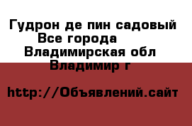 Гудрон де пин садовый - Все города  »    . Владимирская обл.,Владимир г.